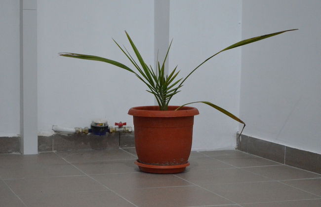 Alexys Residence 8 - Foto 21