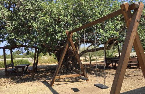 Agriturismo Il Melograno - Foto 46