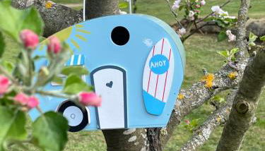 Eichberg Ferienhäuser - Foto 2, Garden view