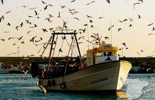 CostaBlancaDreams Casa Azul in Calpe - Foto 45