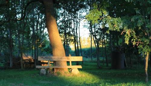 Ferienhaus Raabe - Foto 2, Garden