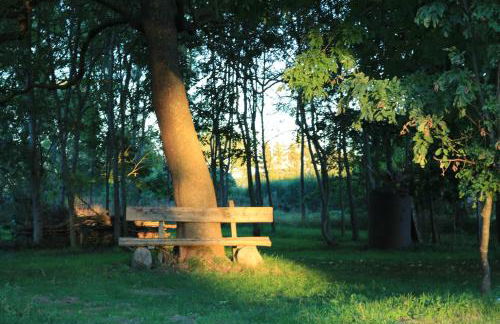 Ferienhaus Raabe - Foto 2