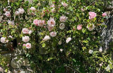 Luxury Farmhouse Retreat with Private Hot Tub & EV - Foto 34