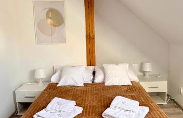 Klimatyczny apartament nr 8 z widokiem na góry Sowie - Foto 15