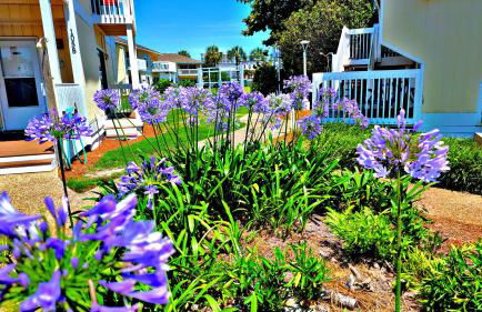 Boathouse Condo, Downtown Destin Harbor, Private Beach Access, Waterfront, on Golf course, Water Taxi pickup - Photo 3