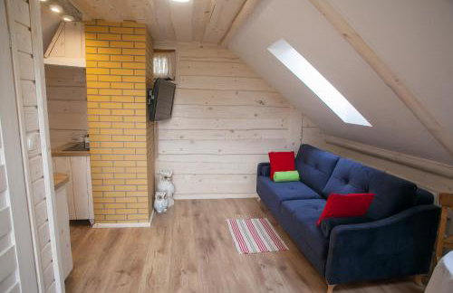 Apartamenty Osowa nad jeziorem Okmin - Foto 27