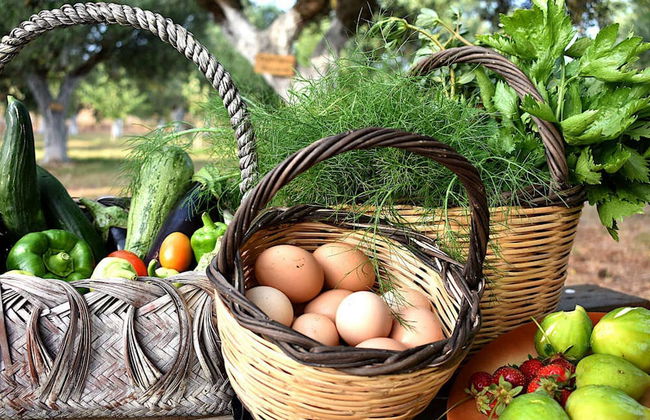 Glamping at a Lovely Tent in Skiaxtro- Marathopoli - Foto 10