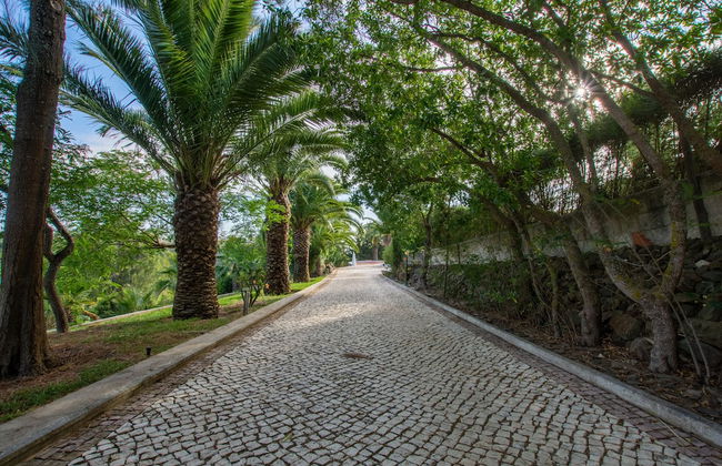 Impeccable 3 Bedroom House, sea View in Aljezur - Foto 19