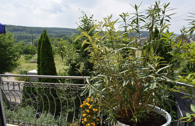 Ferienwohnung Ahrtalblick - Photo 39