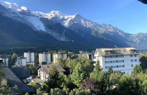 Charmant studio Chamonix - Foto 10