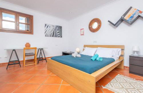 Turixant Dalt - Foto 44