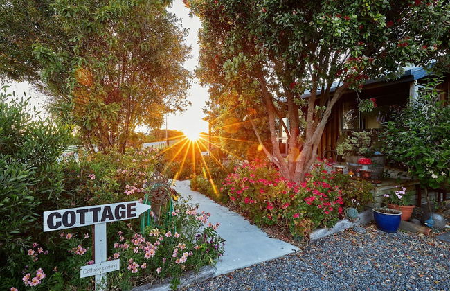 Barnacle Bills - Photo 56