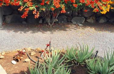 Casa rural Los Llanos Negros - Foto 10