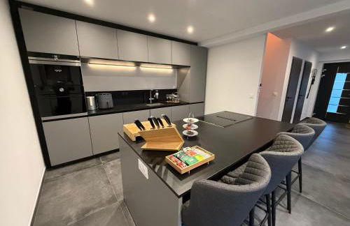 Full House, Jacuzzi, Netflix, 8 pers, free Parking 10' Colmar - Foto 35