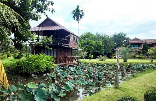 Natura Ravee Greenstay - Photo 26