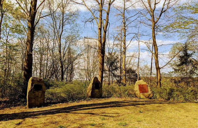 Ferienwohnung in Bissendorf - Foto 28