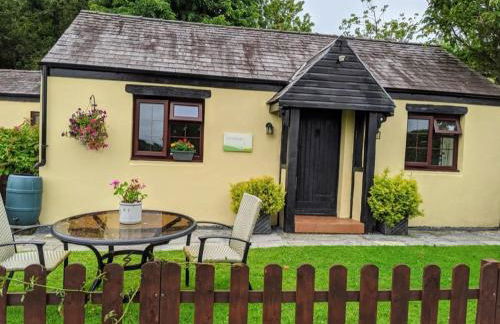 Cornflower - Photo 1