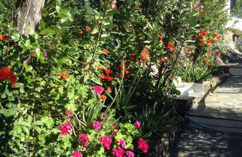 Dimitra Apartments - Foto 46