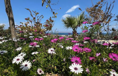 Roboboss Garden Rooms - Foto 36