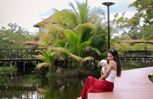 The Beatles Lagoon - Photo 49