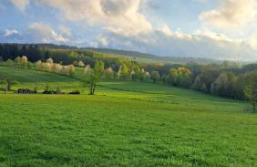Dom Gościnny Zarembianka - Foto 42