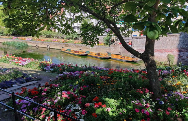 Inviting 1-bed Apartment in Herne Bay - Foto 14