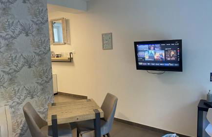 LE PAVILLON RENNAIS - Foto 17