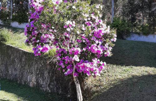 Chácara em Atibaia - Foto 32