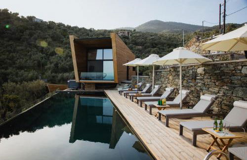 Five Olive Dream Trip - Photo 8