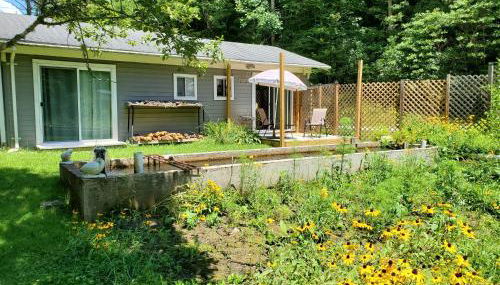 Nantahala Spiritual Retreat - Remote and Peaceful! - Foto 1