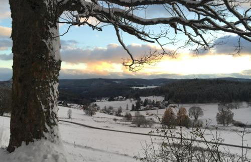 FeWo Fuchs Saig - Photo 63