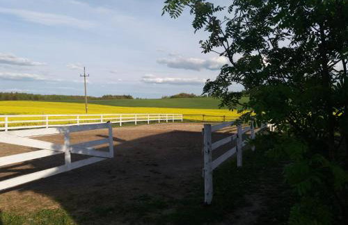 Folwark Malinowy Chruśniak - Foto 47