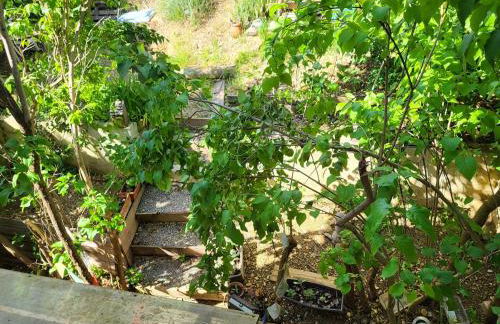 Maison au cœur du Verdon 2 chambres et terrasse - Foto 34