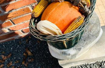 Holiday home DEDINA HIŽICA - Foto 14