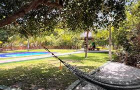 Chácara Adelly - Foto 13