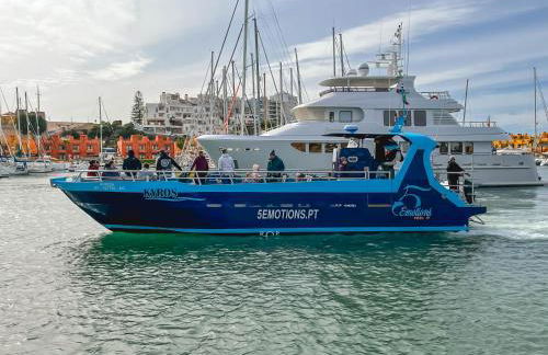 Villa Andorinha - Photo 53