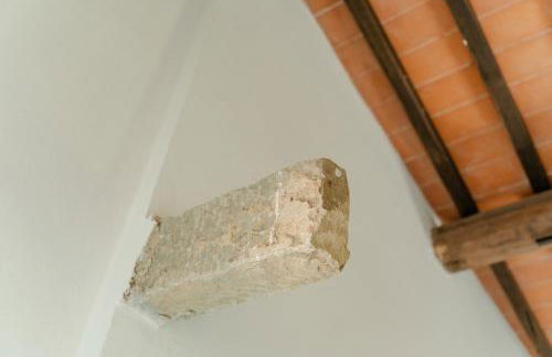 Tenuta Alela - Photo 36