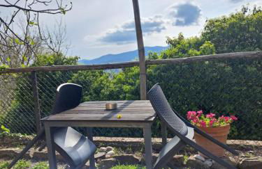 Agriturismo Fontevecchia - Foto 4