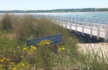 Ostsee-Feeling in Hohwacht - Kapitän NEMO - Meer- und strandnah - Großer Südbalkon - Blick ins Grüne - Foto 22