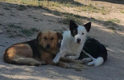 Páteo das Laranjeiras - Foto 45