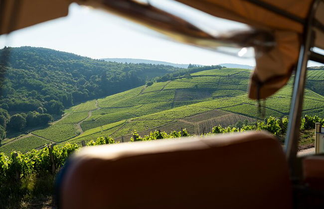 Recorrido privado de un día completo por los viñedos de Borgoña en un Land Rover clásico (Lyon) - Foto 17