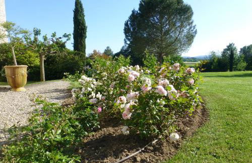 Gîtes Château de la Selve - Foto 31