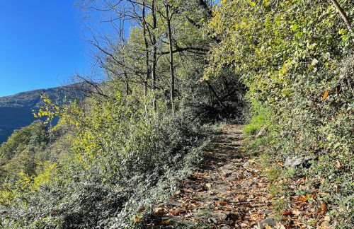 Casa Stefanie -Traum Ferienwohnung mit Seesicht - Foto 19