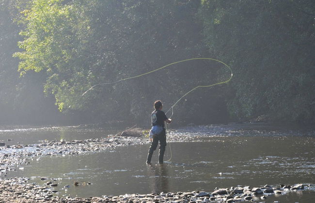 Holiday Home in Vielsalm With Lake View - Foto 38