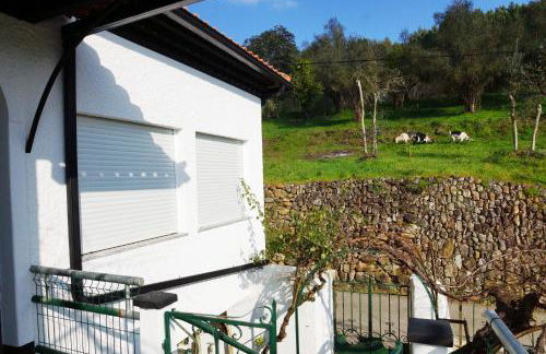 Casa D'Avó Mila - Foto 28