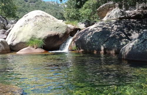 Apartamento Atalantar - Photo 59