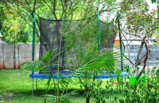 Butterfly Apartments - Foto 23