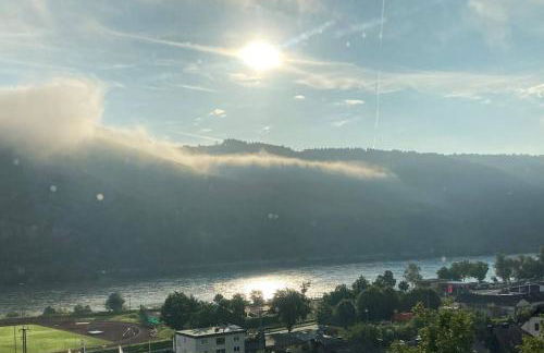 Rhineview 549 - Rheinblick 549 im Mittelrheintal - Foto 9