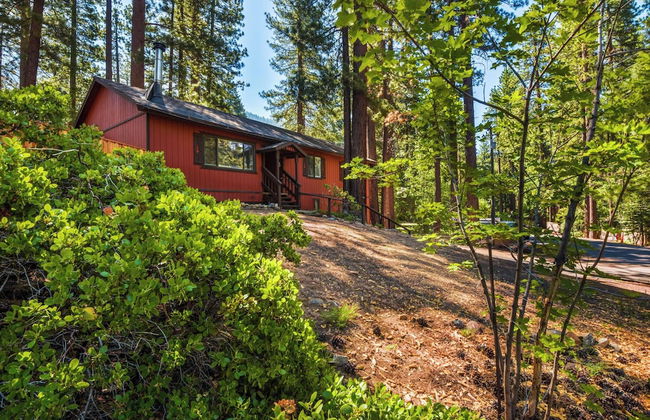 Incline Bliss Dreamy Pet Friendly Escape - Foto 31