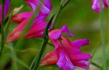 Orne Magical Retreat - Foto 54